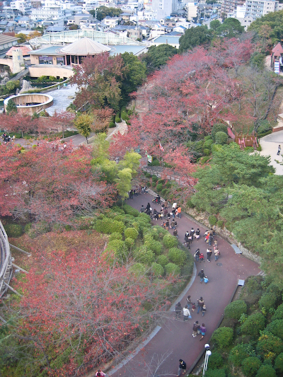 hirapa05.jpg