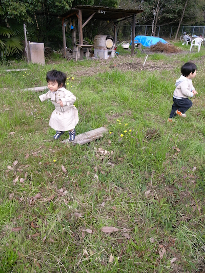 hoshi032814.jpg