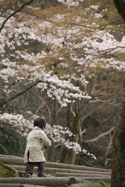 incline03.jpg