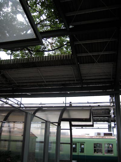 kayashima013.jpg