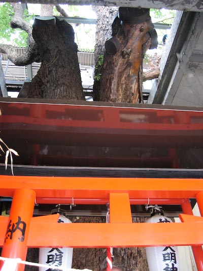 kayashima09.jpg