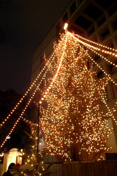 nakano02.jpg