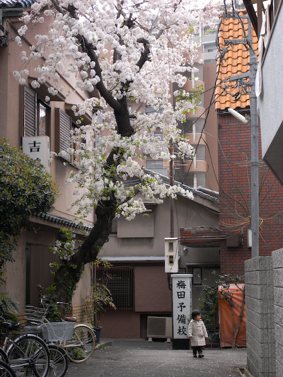 nakatsu05.jpg