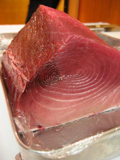 o_maguro05.jpg