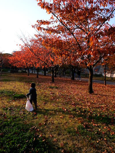 osakajyohe03.jpg