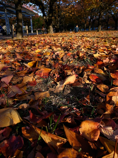 osakajyohe05.jpg