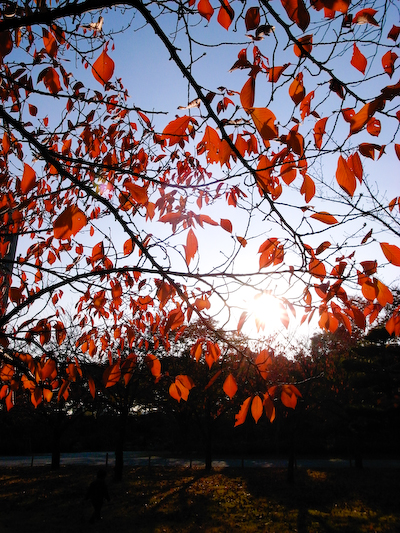 osakajyohe09.jpg