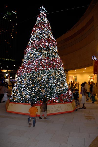parkstree.jpg