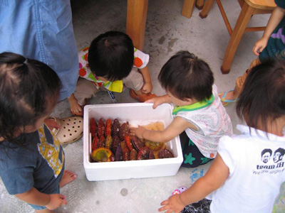 picobd005.jpg