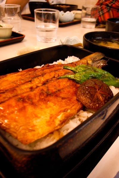 shikotuko008.jpg