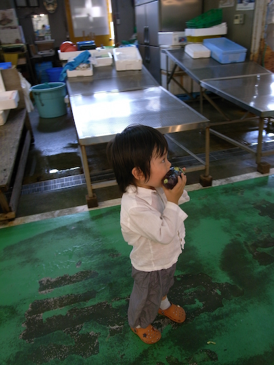 shiohigari05.jpg