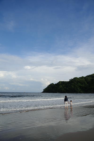 singa_kota-104.jpg