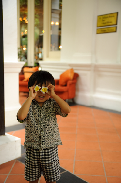singa_kota-143.jpg