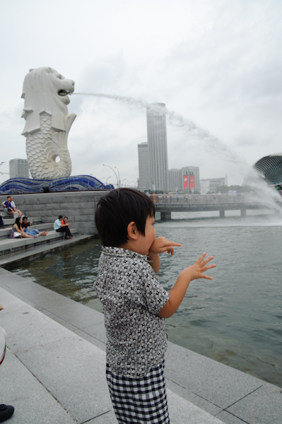 singa_kota-146.jpg