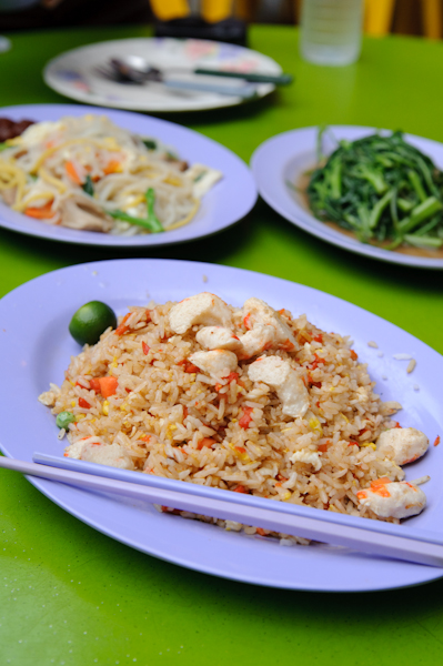 singa_kota-16.jpg