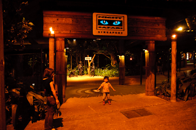 singa_kota-19.jpg