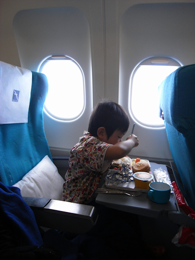 singa_kota-45.jpg