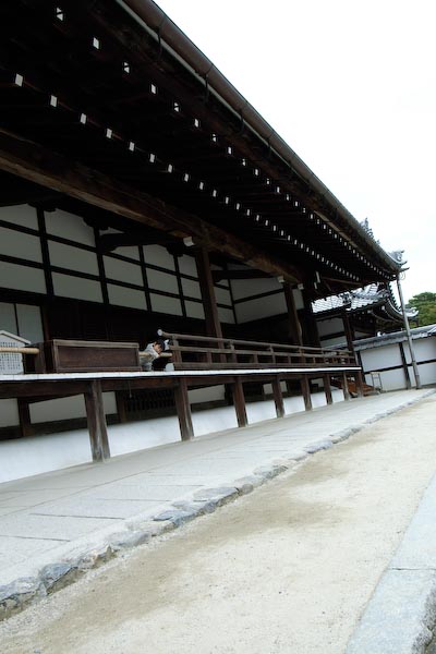 tenryuji08.jpg