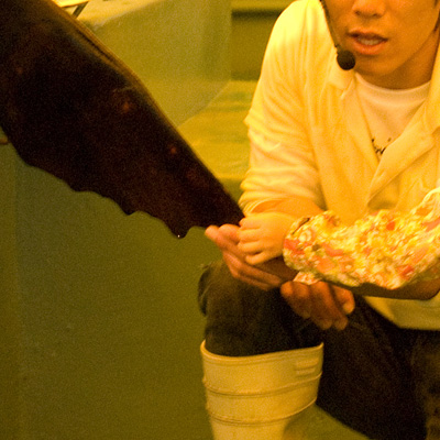 yashima07.jpg